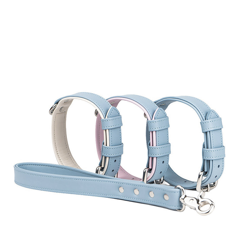 Gucci dog harness collar lead around 50cm