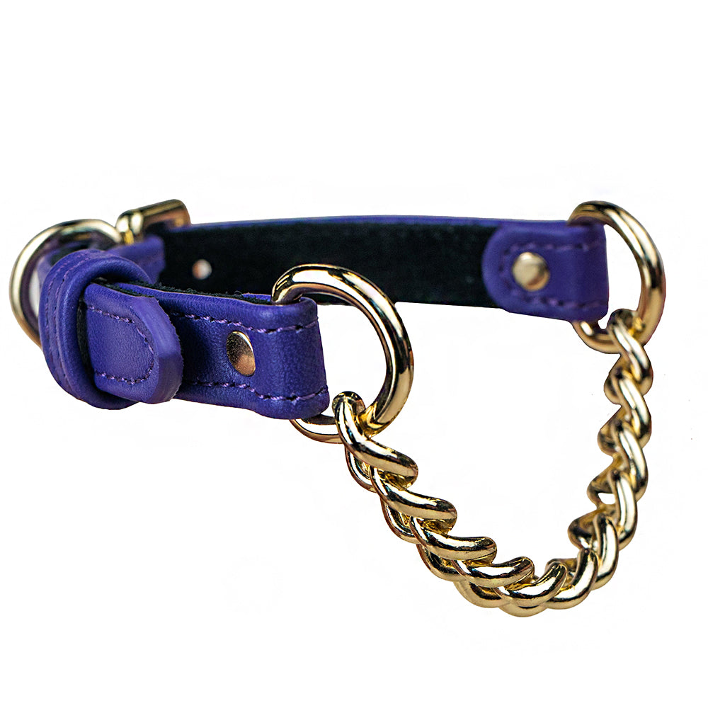 Violet hotsell dog collar